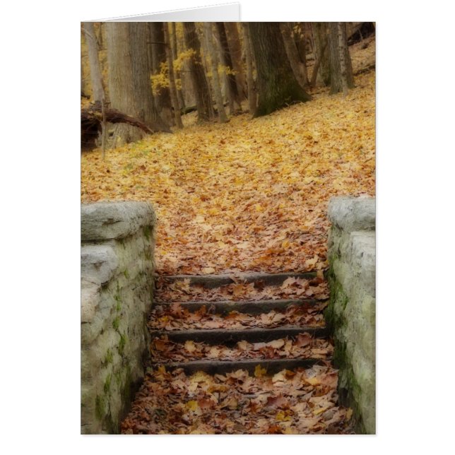 Folgen Sie dem Pfad (Vorne)