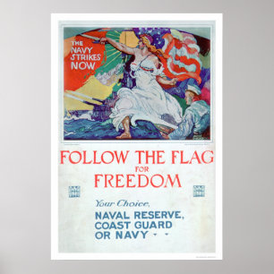 Folgen Sie der Flagge der Freiheit (US02179) Poster