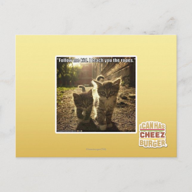 Folgen Sie mir Kid Postkarte (Vorderseite)