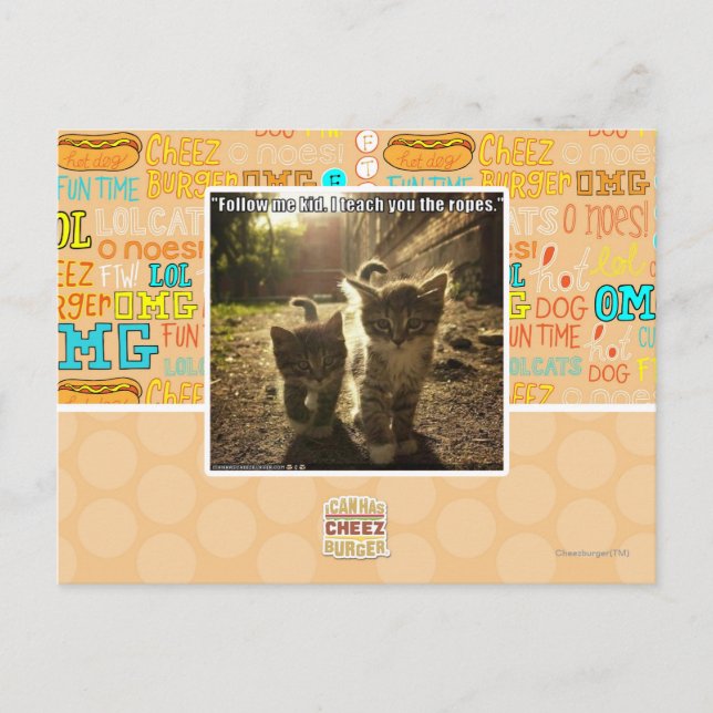 Folgen Sie mir Kid Postkarte (Vorderseite)