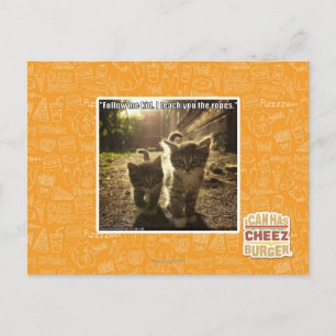 Folgen Sie mir Kid Postkarte