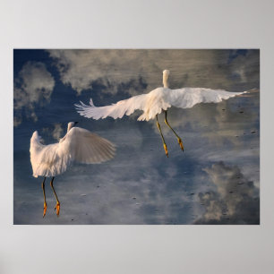 Folgen Sie mir Poster