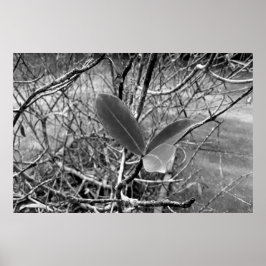 folhas em vida1 poster