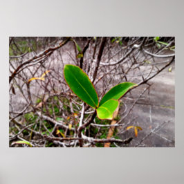 folhas em vida4 poster