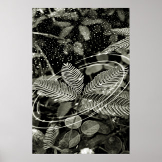 Folhas - Green Poster