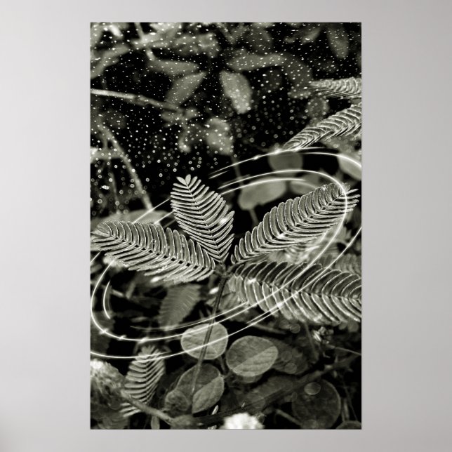 Folhas - Green Poster (Vorne)