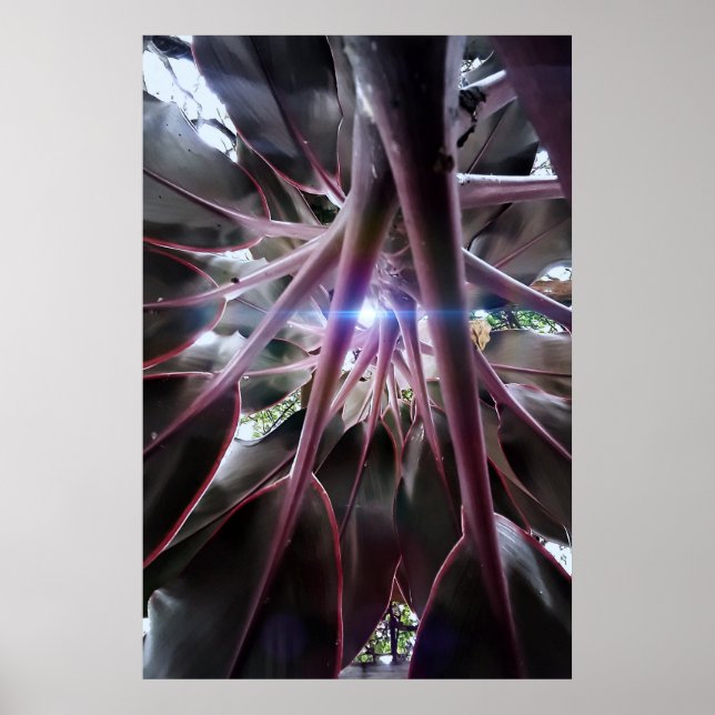 folhas roxas poster (Vorne)