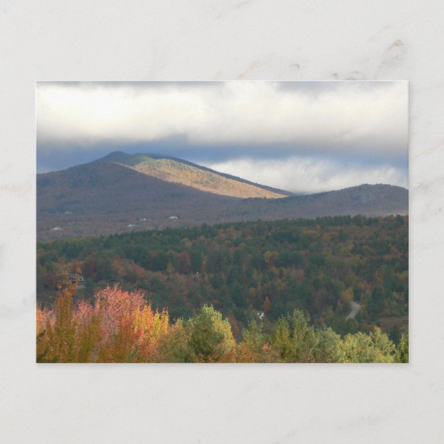 Foliage im Stowe-Vermont Postkarte (Vorderseite)