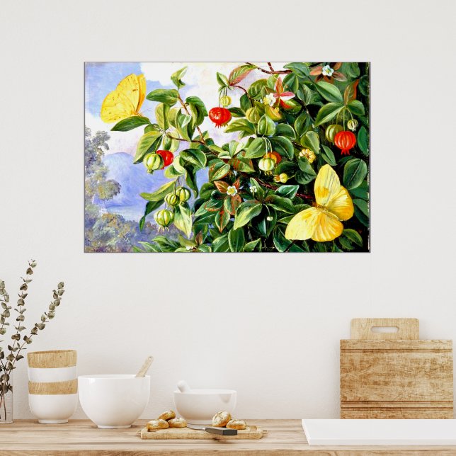 Folien, Blume und Früchte der Pitanga, Jamaika Poster (Küche)