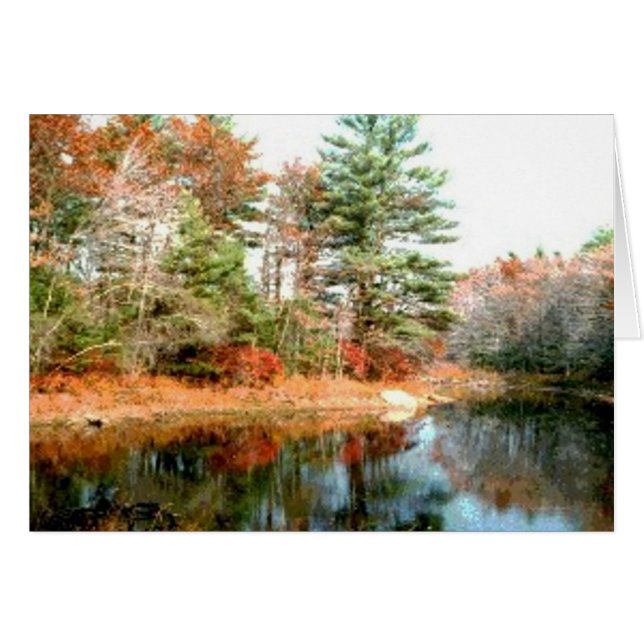 Folien in Spitzenfarben (Vorderseite (Horizontal))