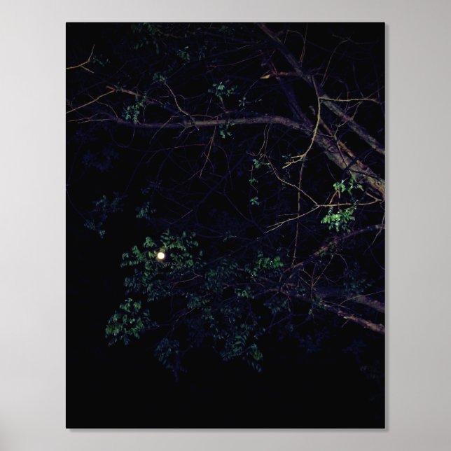 FOLIENDRUCKKUNST UND -DESIGN FOLIENDRUCKE (Vorderseite)