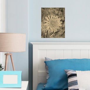 FOLIENDRUCKPOSTER ART UND DESIGN FOLIENDRUCKE