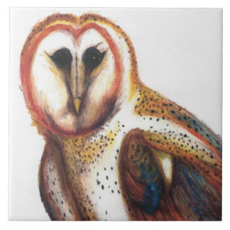 Folk Art Barn Owl Tile von David I Stromberg Fliese