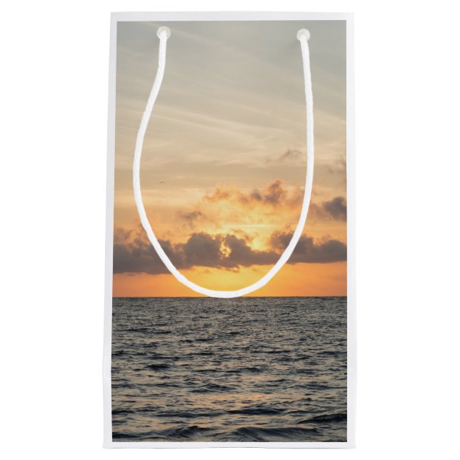 Folly Beach Morning Kleine Geschenktüte (Vorderseite)