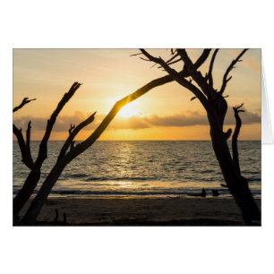 Folly Sunrise Tree Silhouette