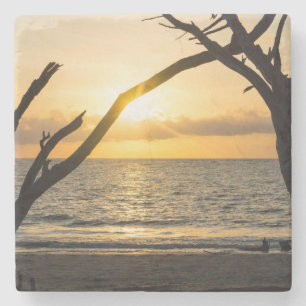 Folly Sunrise Tree Silhouette Steinuntersetzer