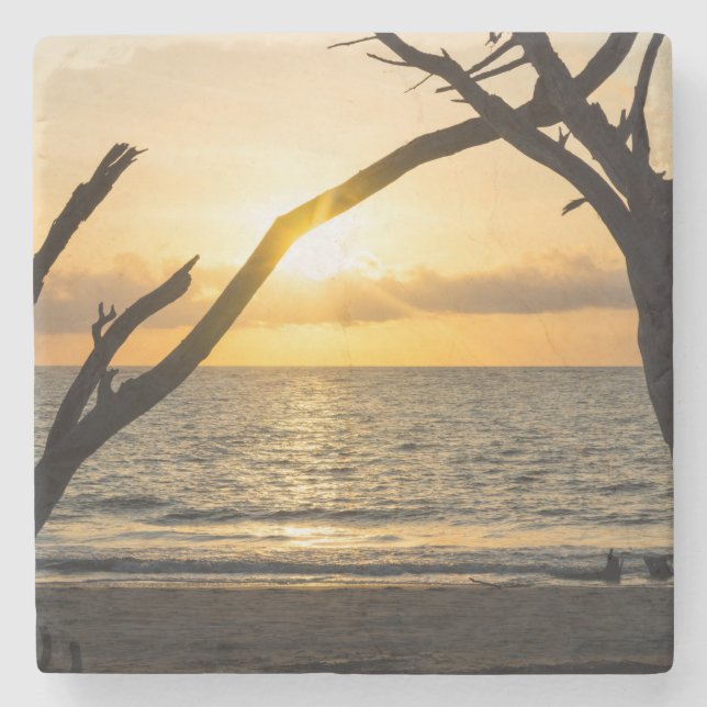 Folly Sunrise Tree Silhouette Steinuntersetzer (Vorderseite)