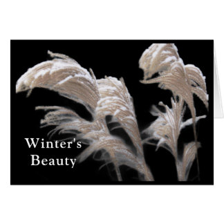 FOND THOUGHTS VON IHNEN DIESE FERIENSAISON/ SCHNEE