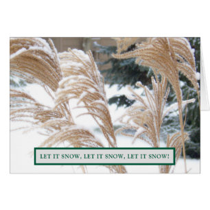 FOND THOUGHTS VON IHNEN DIESE FERIENSAISON/ SCHNEE