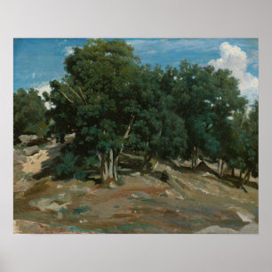 Fontainebleau Oak Trees Poster