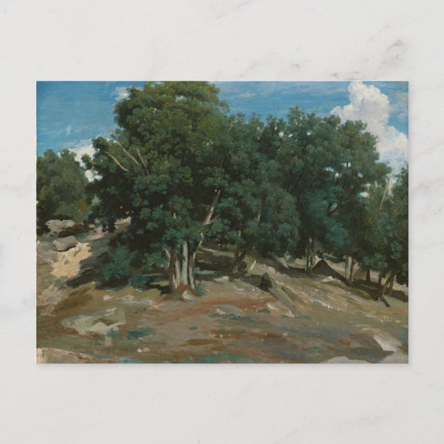 Fontainebleau Oak Trees Postkarte (Vorderseite)