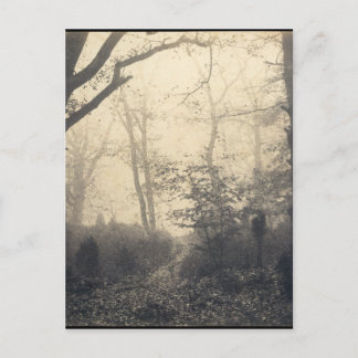 Fontainebleau-Wald Postkarte