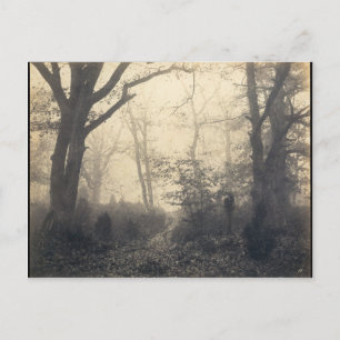Fontainebleau-Wald Postkarte