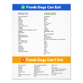 Foods Hunde können und können nicht poster