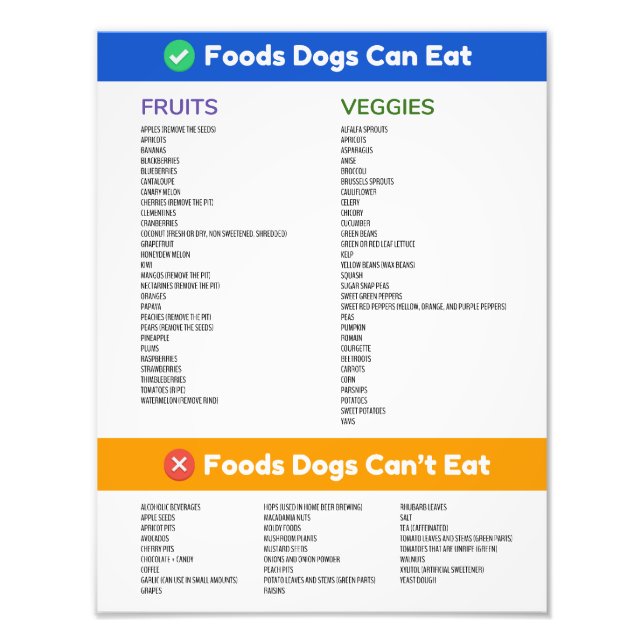 Foods Hunde können und können nicht poster (Vorne)