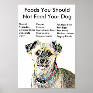 Foods You Should Not Feed Your Dog Poster
