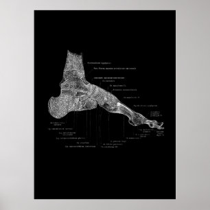 Foot Anatomy Podiatrist Geschenk medizinische Wand Poster