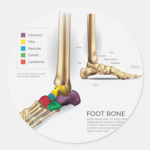 Foot Bone Runder Aufkleber