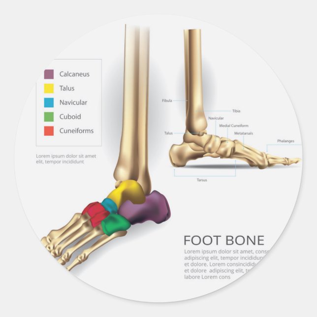 Foot Bone Runder Aufkleber (Vorderseite)