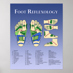 Foot Reflexology chart - Blue Poster
