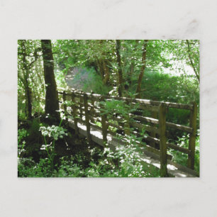 Footbridge in Woodland. Postkarte