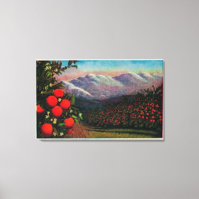 Foothill Orange Grove im WinterState Leinwanddruck (Vorderseite)