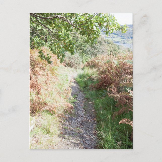 Footpath Coniston England Card Postkarte (Vorderseite)