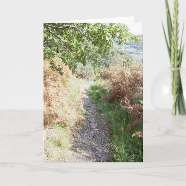 Footpath Coniston England Karte (Vorderseite)