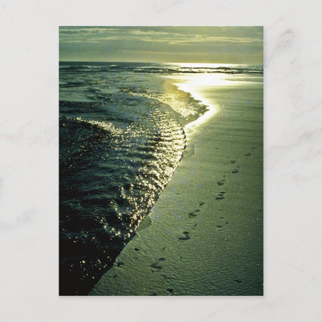 Footprints in Sand, Piha, North Island Postkarte (Vorderseite)