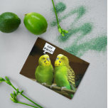 For Brother Green Parakeets Photo Birthday Karte<br><div class="desc">A funny and colorful birthday card for one's brother that features the photo image of a pair of bright,  green Parakeets,  also call Budgies. Select from matte or glossy style card.</div>