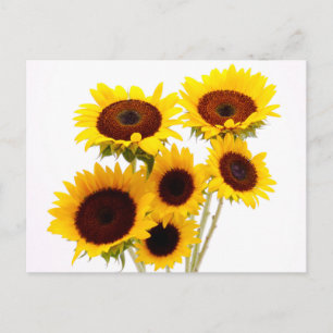 Forale Sonnenblumen Gelbe Blumen - Liebe, Miss You Postkarte