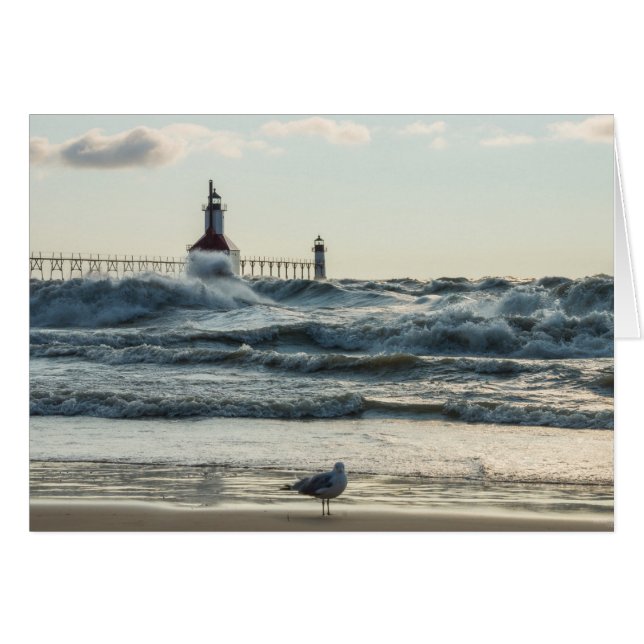 Force Behind Beauty (Vorderseite (Horizontal))