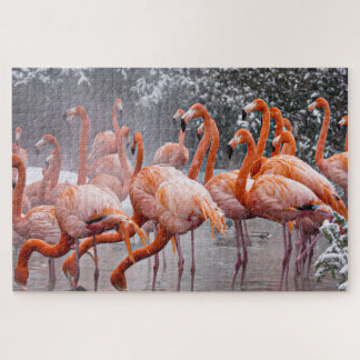 Fordernde Flamingos Foto Puzzle