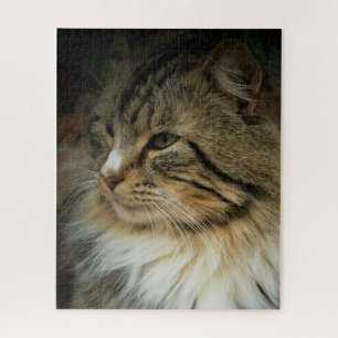 Fordernde Norwegische Waldkatze Puzzle
