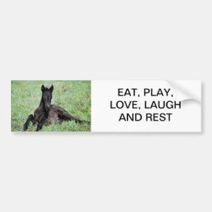 Forelle des Babys auf der Wiese Autoaufkleber