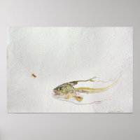 Forelle, die eine Fischfliege jagt