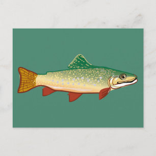 Forelle Fish Art Illustration Postkarte