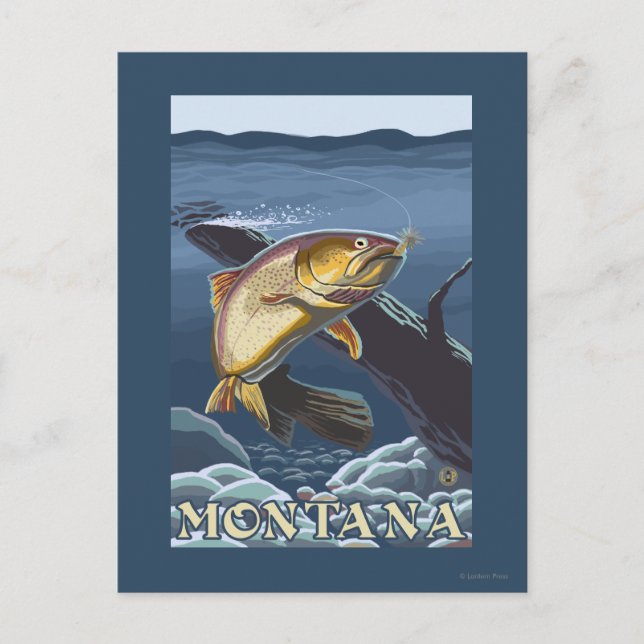 Forelle Fishing Cross-Section - Montana Postkarte (Vorderseite)
