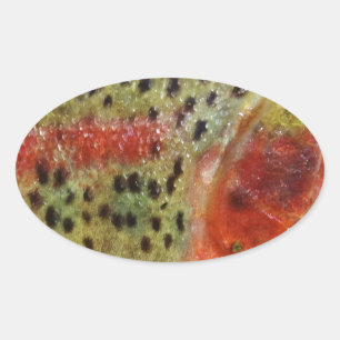 Forelle in den Händen Ovaler Aufkleber