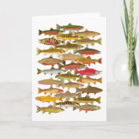 Forelle-u. Lachs-Gruß-Karte